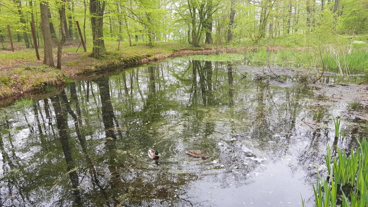 Penzion a Restaurace Nad Hradem Křivoklát Exteriér fotografie